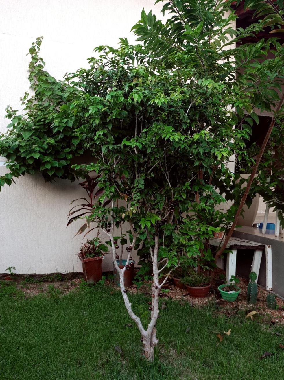 Casa De No Bairro Jardim * Maraba